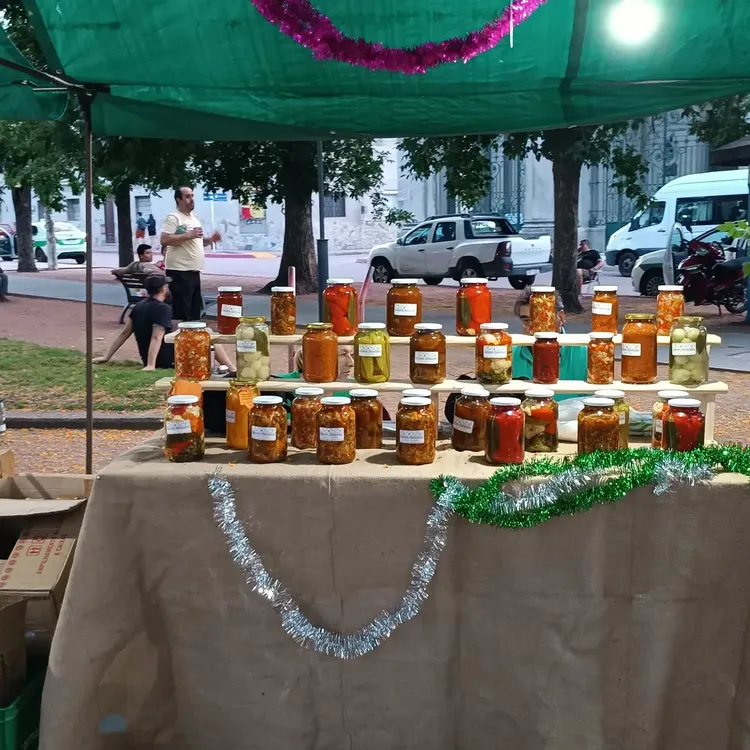 WhatsApp Image 2023-12-17 at 20.22.21