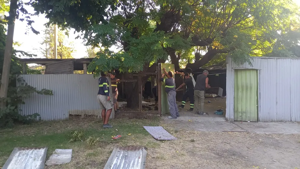 WhatsApp Image 2026-02-10 at 6.45.52 PM