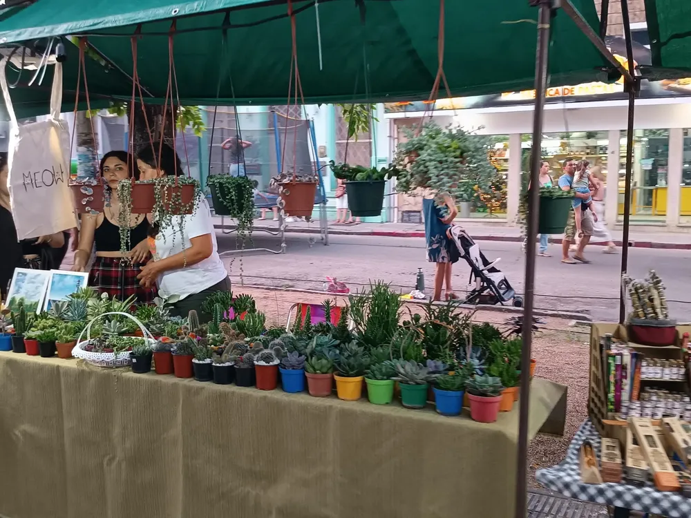 WhatsApp Image 2023-12-17 at 20.22.48