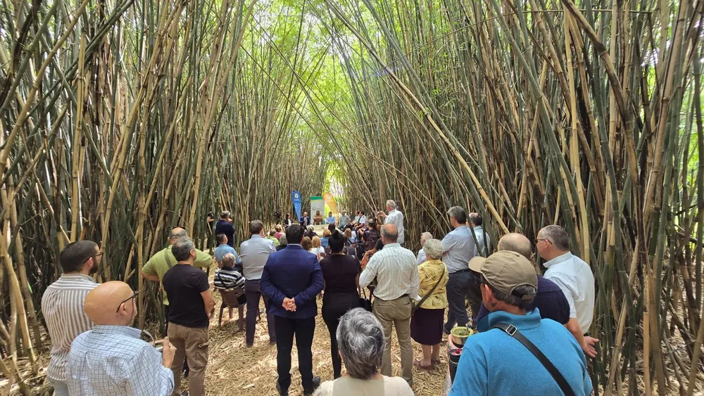 WhatsApp Image 2025-12-10 at 14.41.31 (4) (1)