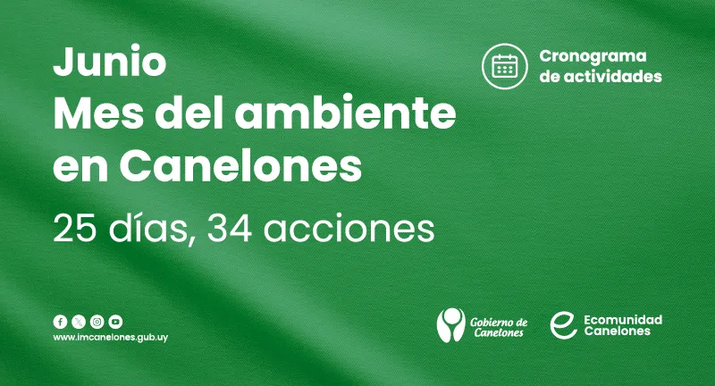 mes_del_ambiente_destacada_5