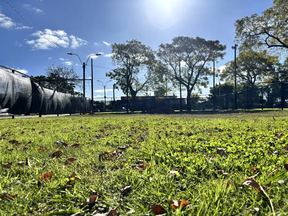 IMG_0165